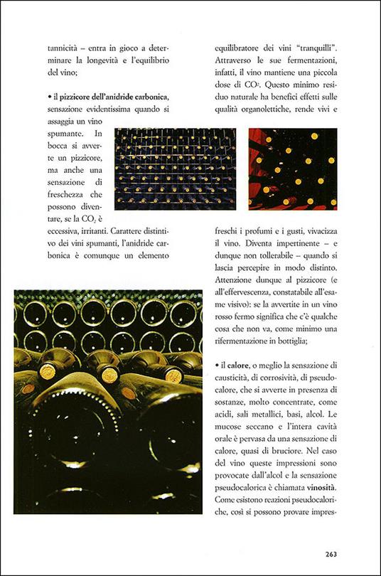 Il piacere del vino - Paola Gho,Giovanni Ruffa - 4
