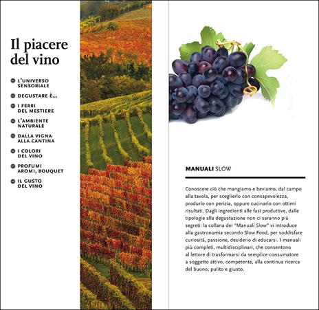 Il piacere del vino. Come imparare a bere meglio - Paola Gho,Giovanni Ruffa - 2