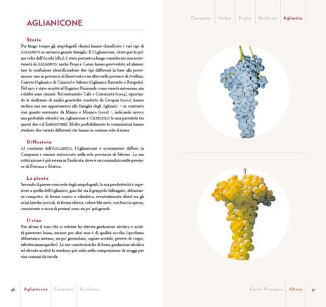 Guida ai vitigni d'Italia. Storia e caratteristiche di 700 varietà autoctone - 3