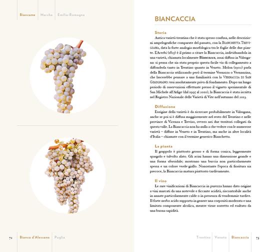 Guida ai vitigni d'Italia. Storia e caratteristiche di 700 varietà autoctone - 4