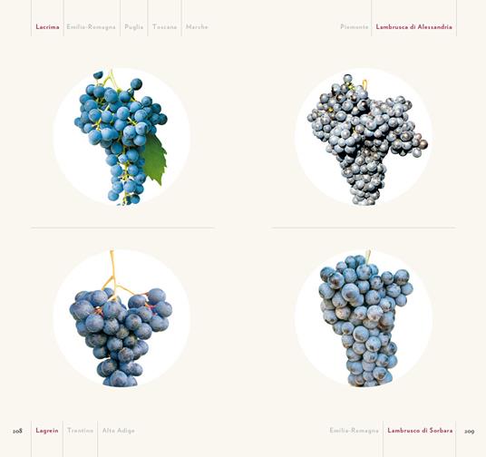 Guida ai vitigni d'Italia. Storia e caratteristiche di 700 varietà autoctone - 5