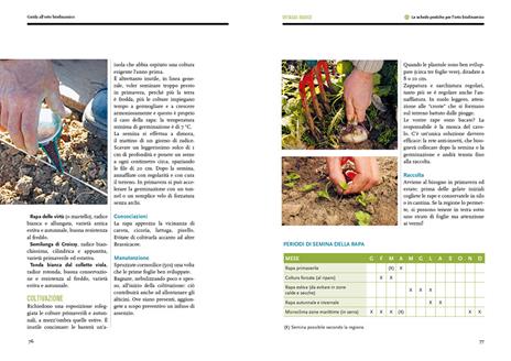 Guida alll'orto biodinamico. Seminare, coltivare, vivere la terra - Aurelien Gourmelin - 5