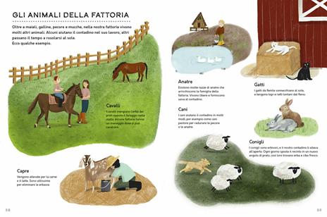 Un anno in fattoria. Le quattro stagioni nella vita di una fattoria biologica dal campo alla tavola - Nancy Castaldo,Ginnie Hsu - 3