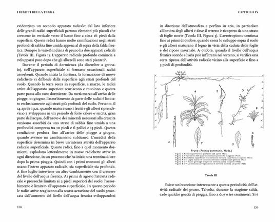 I diritti della terra. Alle radici dell'agricoltura naturale - Albert Howard - 5