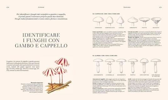 Funghi. La scienza e i segreti del regno più misterioso - Lynne Boddy,Ali Ashaby - 2