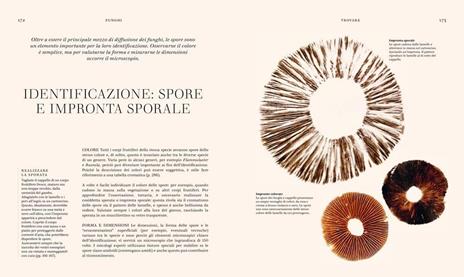 Funghi. La scienza e i segreti del regno più misterioso - Lynne Boddy,Ali Ashaby - 3