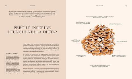 Funghi. La scienza e i segreti del regno più misterioso - Lynne Boddy,Ali Ashaby - 4