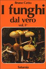 I funghi dal vero. Vol. 3