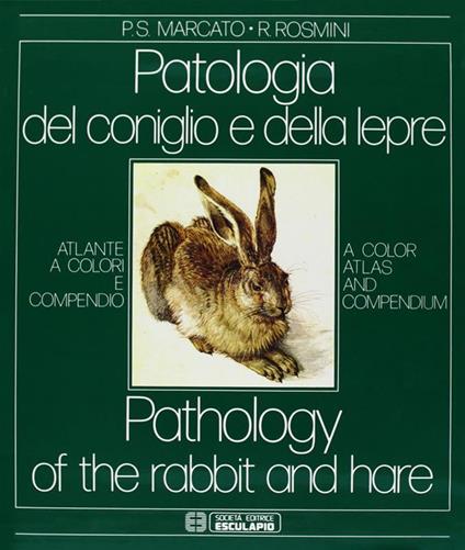 Patologia del coniglio e della lepre. Atlante a colori e compendio - Paolo Stefano Marcato,Roberto Rosmini - copertina