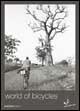 Libro World of bicycles Bruno Sananès