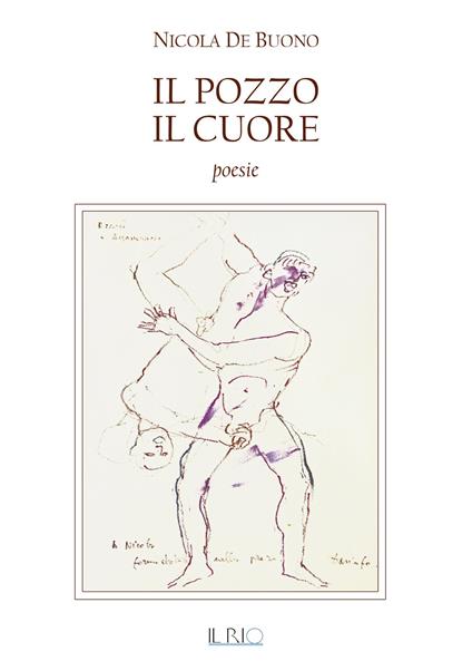 Il pozzo, il cuore - Nicola De Buono - copertina