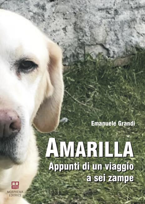 Amarilla. Appunti di un viaggio a sei zampe - Emanuele Grandi - copertina