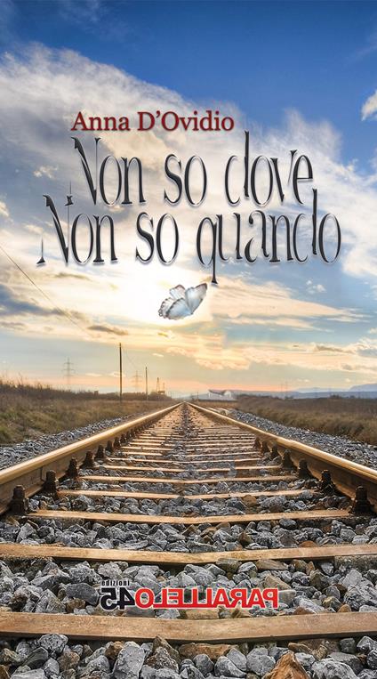 Non so dove non so quando - Anna D'Ovidio - copertina