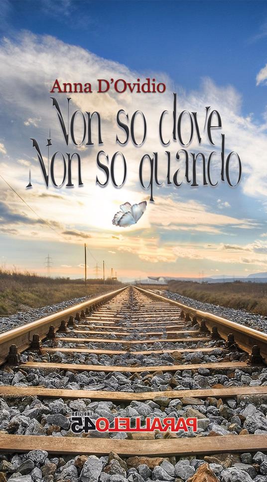 Non so dove non so quando - Anna D'Ovidio - copertina