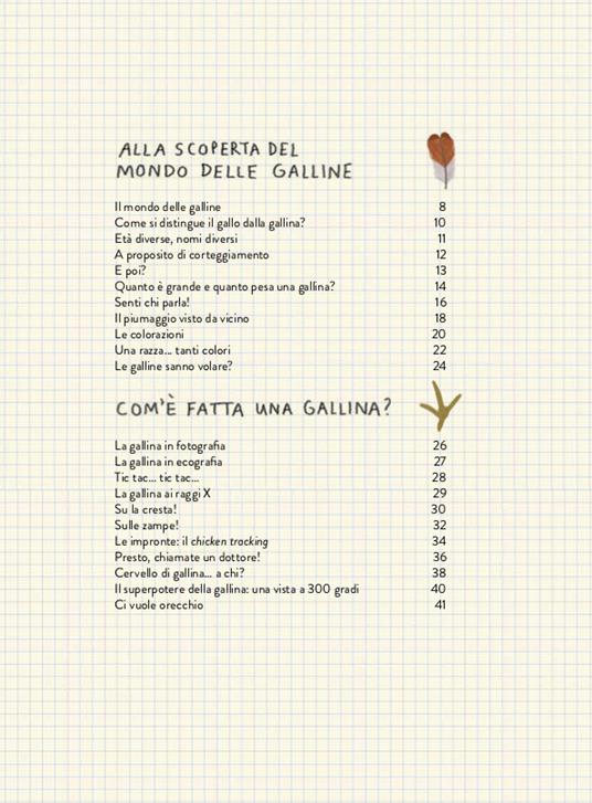 Il gallinario. Ediz. a colori - Barbara Sandri,Francesco Giubbilini - 3