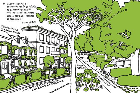 Alberi di strada. Manuale di convivenza con il verde urbano - Sara Filippi Plotegher - 8