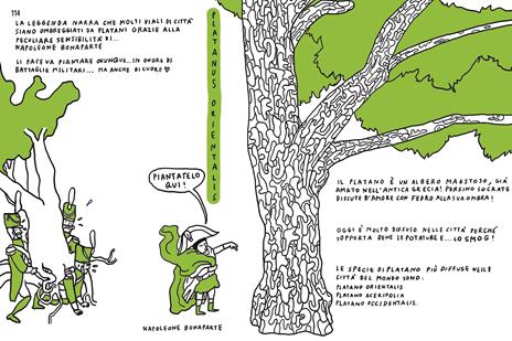 Alberi di strada. Manuale di convivenza con il verde urbano - Sara Filippi Plotegher - 9