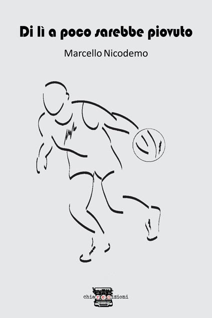 Di lì a poco sarebbe piovuto - Marcello Nicodemo - copertina