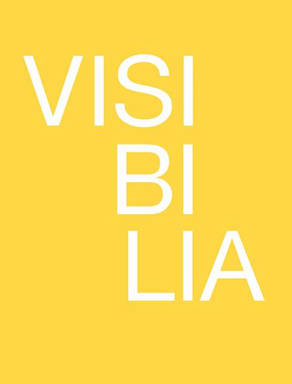 Visibilia. Come rendere visibile l'invisibile. Ediz. italiana e inglese - copertina