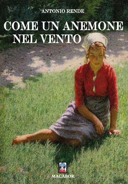 Come un anemone nel vento - Antonio Rende - copertina