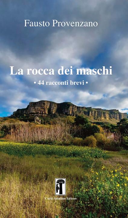 La rocca dei maschi. 44 racconti brevi - Fausto Provenzano - copertina