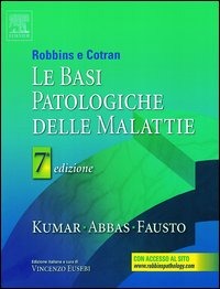 IL PAPIRO
