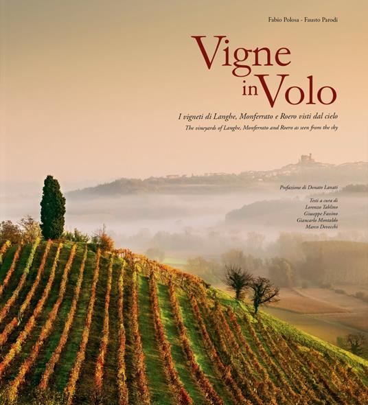 Vigne in volo. I vigneti di Langhe, Monferrato e Roero visti dal cielo. Ediz. italiana e inglese - Fabio Polosa,Fausto Parodi - copertina
