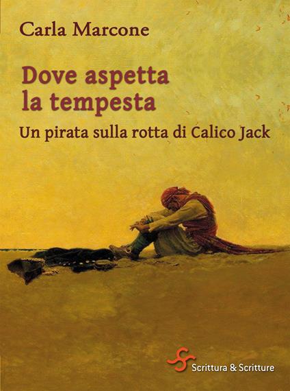 Dove aspetta la tempesta. Un pirata sulla rotta di Calico Jack - Carla Marcone - ebook