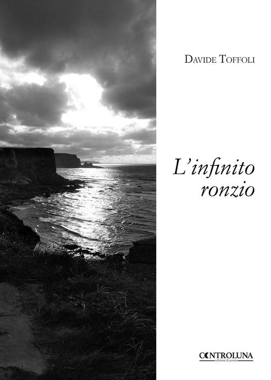 L'infinito ronzio - Davide Toffoli - copertina