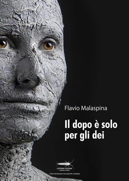Il dopo è solo per gli dei - Flavio Malaspina - copertina