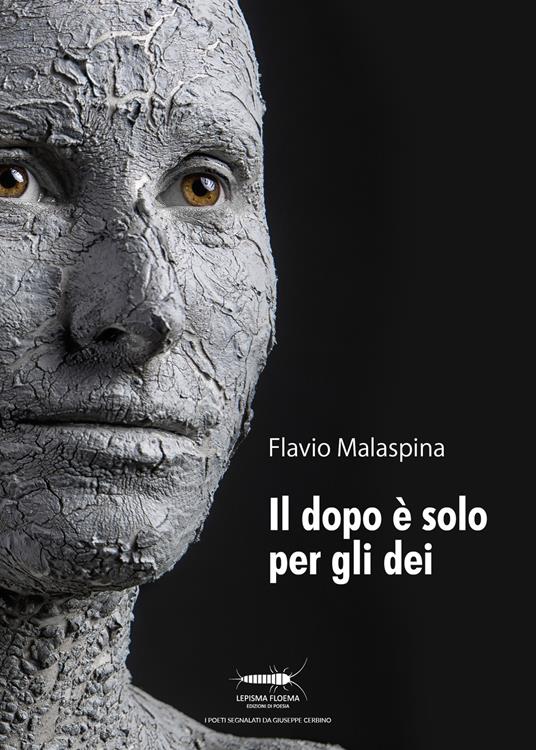 Il dopo è solo per gli dei - Flavio Malaspina - copertina