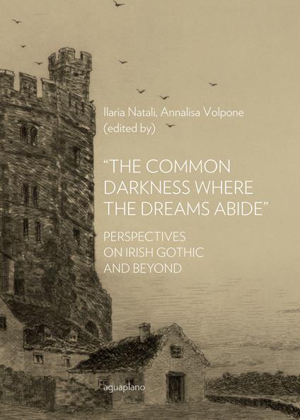 «The common darkness where the dreams abide». Perspectives on Irish gothic and beyond - copertina