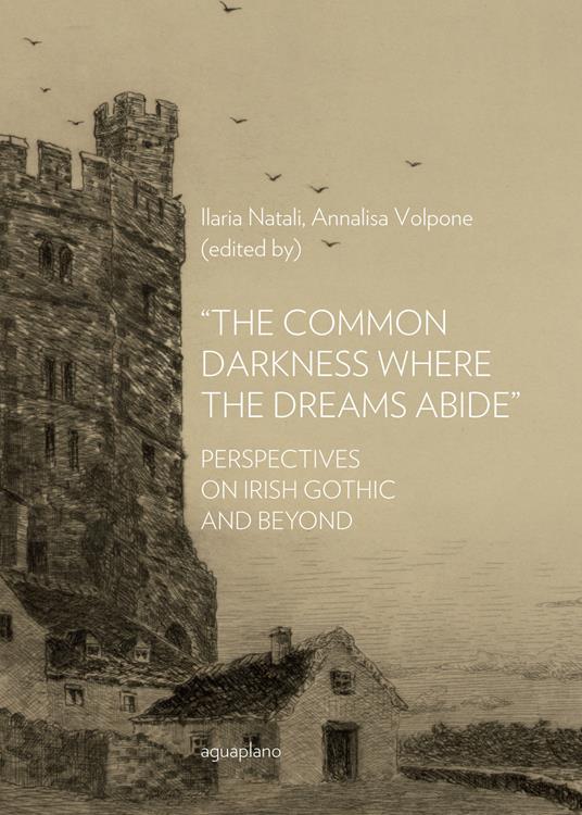 «The common darkness where the dreams abide». Perspectives on Irish gothic and beyond - copertina