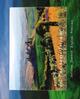 Del paessaggio toscano. Ediz. illustrata