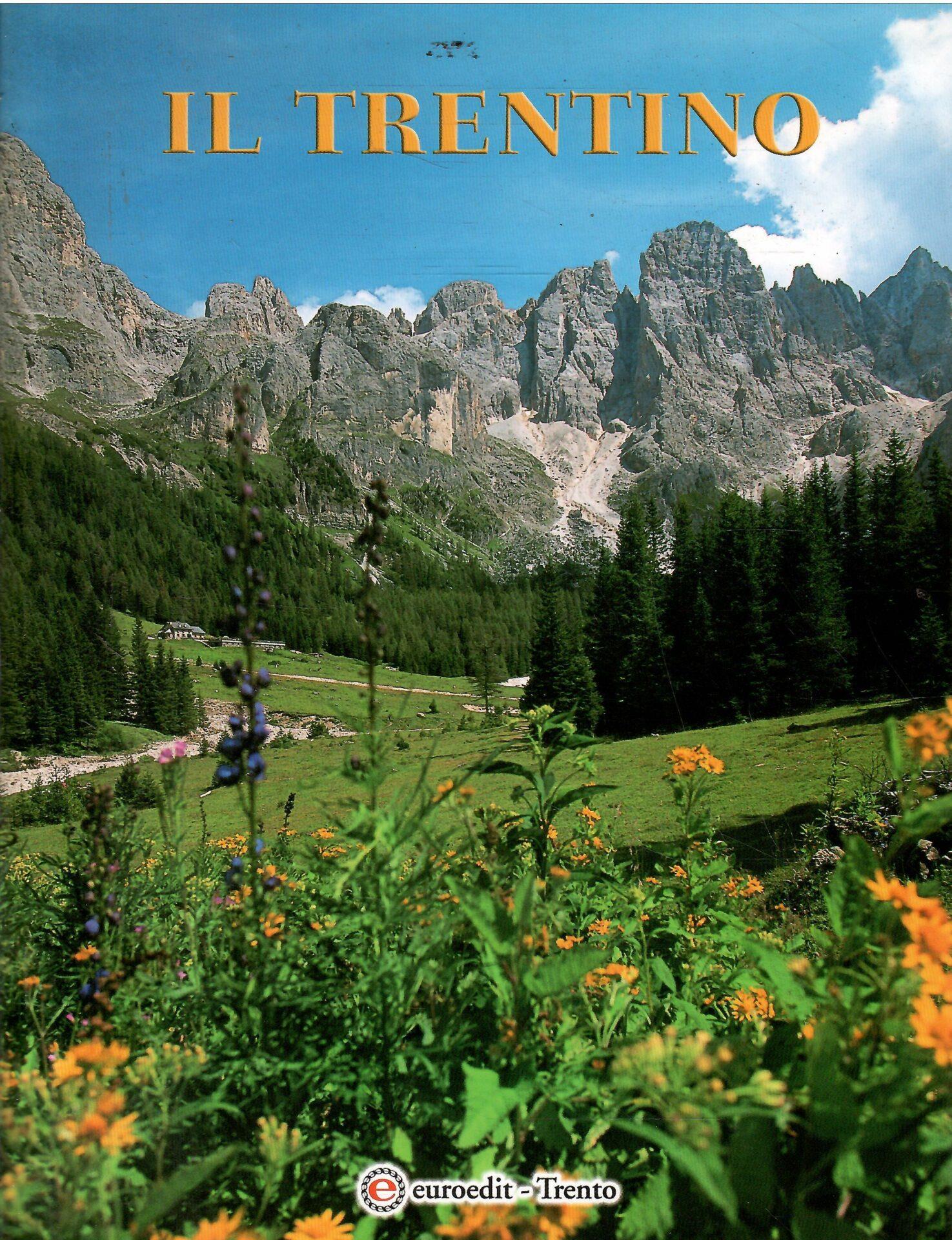 Libroteka di Fattoretti Silvia