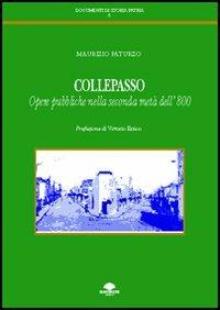 Collepasso. Opere pubbliche nella seconda metà dell'800 - Maurizio Paturzo - copertina