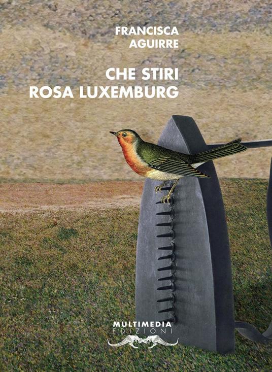 Che stiri Rosa Luxemburg - Francisca Aguirre - copertina