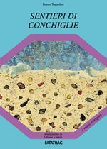 Sentieri di conchiglie