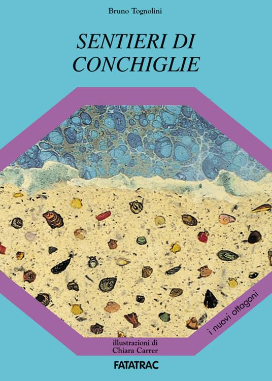 Sentieri di conchiglie - Bruno Tognolini - copertina