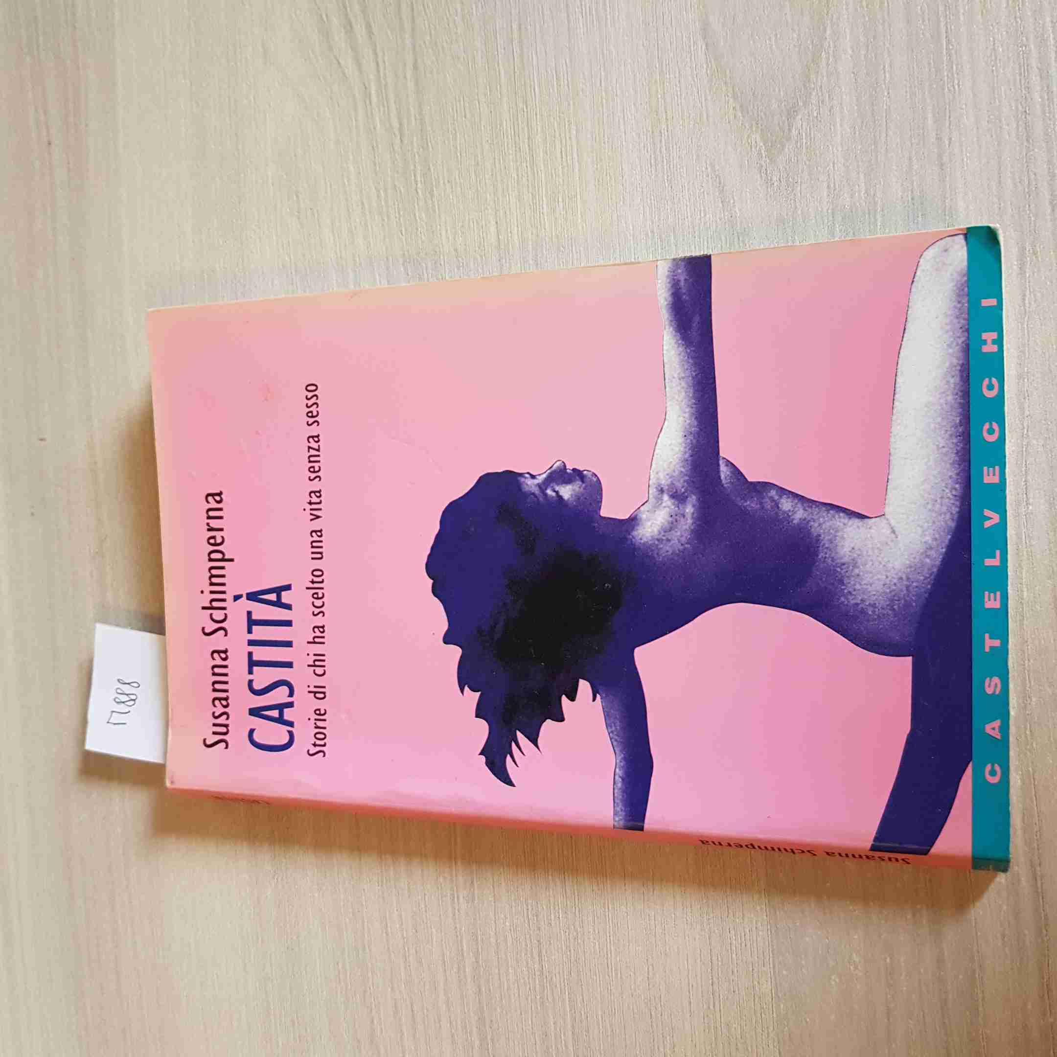 Castità. Storie di chi ha scelto una vita senza sesso