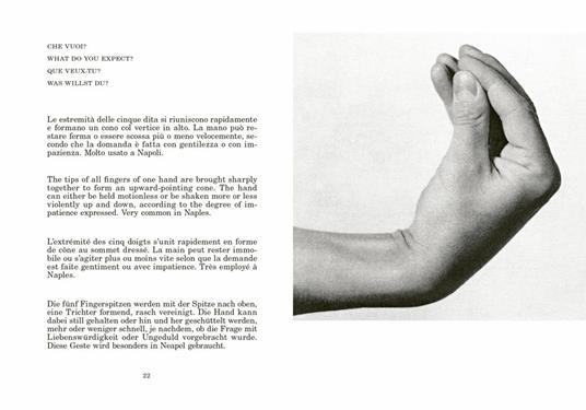 Supplemento al dizionario italiano-Supplement to the italian dictionary-Supplement au dictionnaire italien-Anhang zum italienischen Wörterbuch. Ediz. multilingue - Bruno Munari - 2