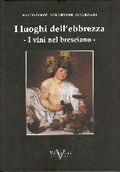 Libro I luoghi dell'ebbrezza. I vini nel bresciano Rinetta Faroni , Carla Boroni , Anna Bossini