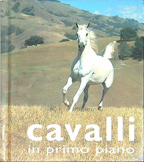 Cavalli in primo piano
