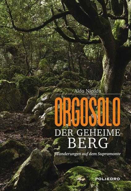 Orgosolo. Der geheime berg. Wanderungen auf dem Supramonte. Ediz. a colori - Aldo Nieddu - copertina