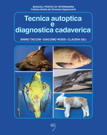 Tecnica autoptica e diagnostica cadaverica - Ennio Taccini,Giacomo Rossi,Claudia Gili - copertina