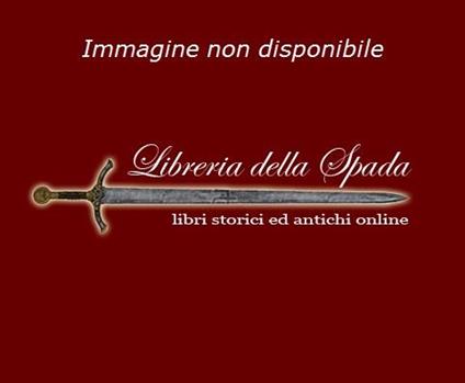 Stefano Bruzzi. La poetica della neve. Ediz. illustrata - Andrea Baboni - copertina