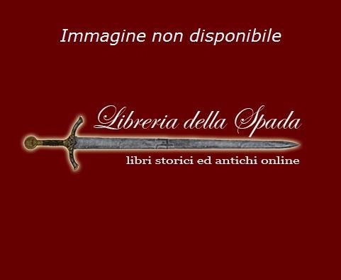 Stefano Bruzzi. La poetica della neve. Ediz. illustrata - Andrea Baboni - copertina