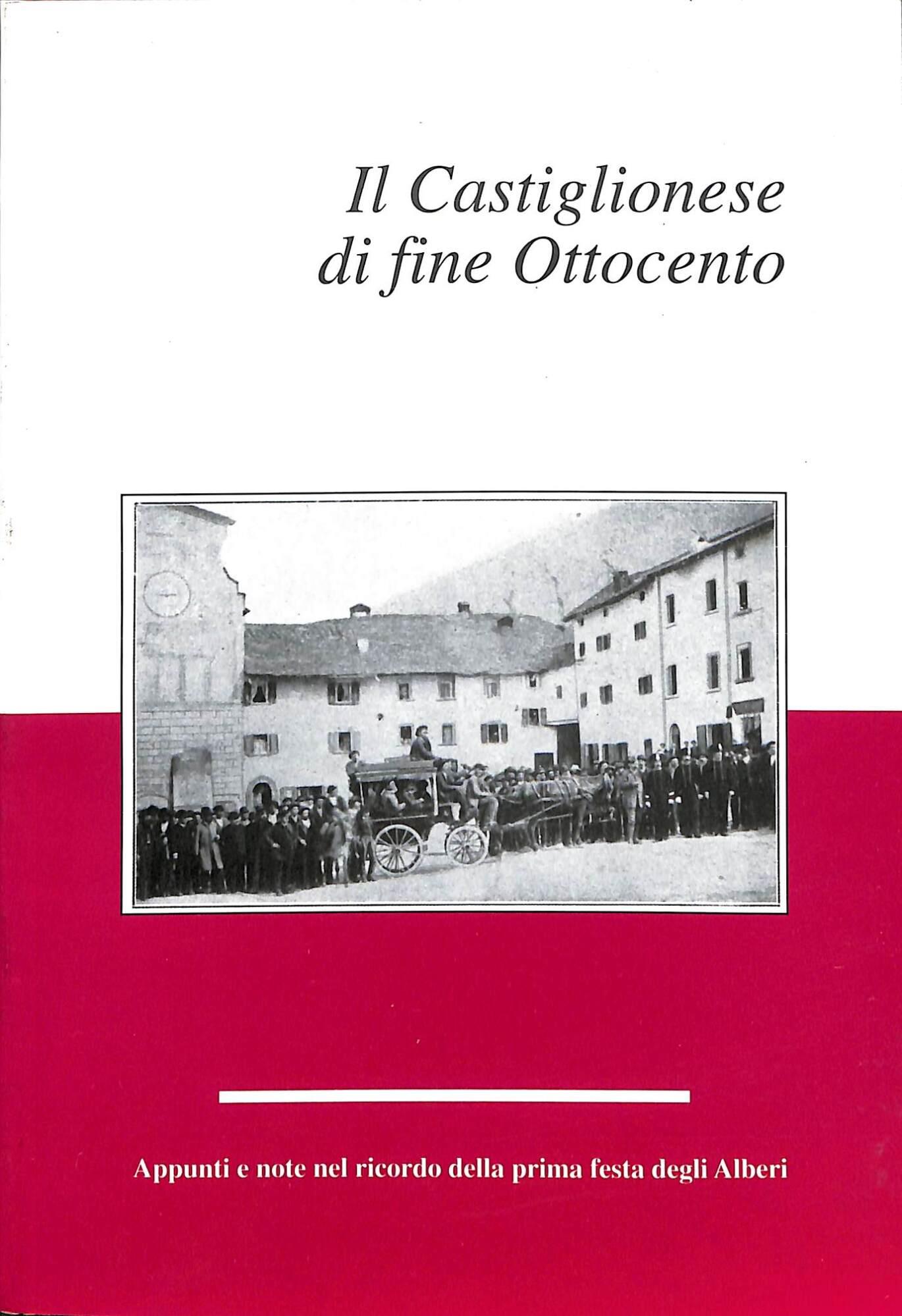Il castiglionese di fine Ottocento