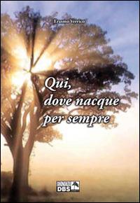 Qui, dove nacque per sempre - Erasmo Verrico - copertina