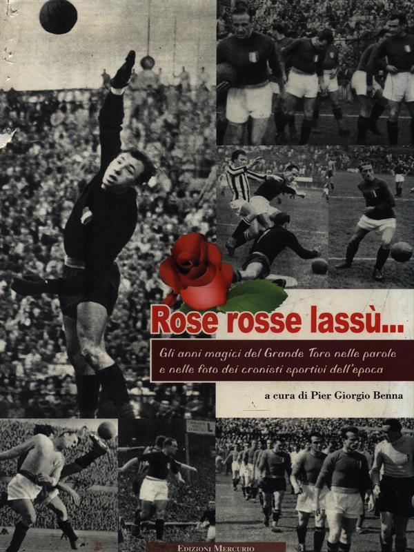 Rose rosse lassù... Dove cielo e terra... si congiungono. Ediz. illustrata